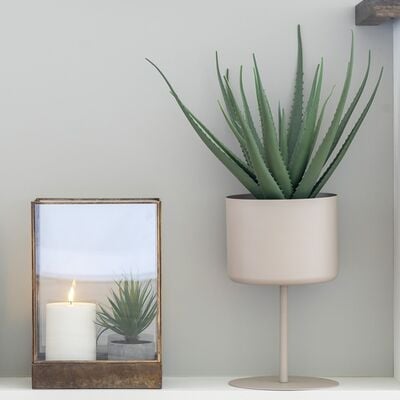 House Nordic Aloe vera tekokasvi korkeus 51 cm